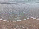 Эксперт: купаться в море Анапы опасно для здоровья