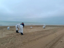 В Анапе экстренно очистили пляжи от нового мазута