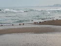 Море волнуется раз: пляжи Анапы опустели с похолоданием