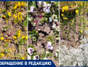 «Зрелище неприглядное»: в Анапе из-за отсутствия полива засыхают цветы на набережной 
