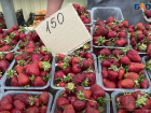 «Вкусовые сосочки будут довольны»: в Анапе снизились цены на сезонные фрукты и овощи