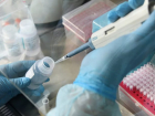 Где на Кубани выявлены 13 новых случаев коронавирусной инфекцией? 