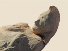 В археологический музей Анапы переданы уникальные находки