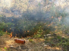 В Анапе произошло восемь пожаров за неделю – в основном, по вине людей