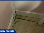 "Грязь и пыль": Анна Мамуркова возмущена условиями в Детской городской больнице Анапы 