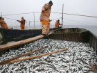 Рыболовные предприятия Анапы могут рассчитывать на поддержку государства