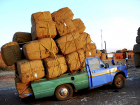 Гость из Еревана наворовал в Анапе, Сочи и Новороссийске целый грузовик вещей
