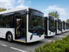 101 новый автобус может выйти на маршруты Анапы в 2027 году