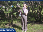Светлана Кожевникова предлагает обустроить в Анапе «кошачьи городки»