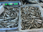 Хамса на прилавках Анапы: лакомая рыбка снова в продаже