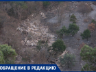 Сломаны краснокнижные деревья: анапчанка о беспределе в заповеднике «Утриш» 