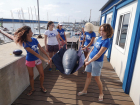 Как жители Черноморского побережья могут помочь пострадавшим дельфинам: в Анапе проводят тренинг