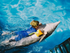 В Анапе дельфинотерапию проходят дети-инвалиды