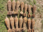 В поселке недалеко от Анапы трактор откопал 40 снарядов времен ВОВ