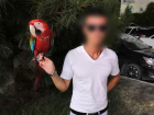 Фотографа с попугаем задержала полиция Анапы в Витязево