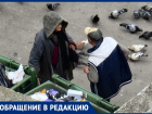 Автохамы и бомжи: жительница города назвала главные проблемы Анапы
