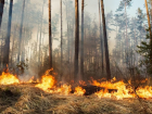 Опасная жара: в Анапе действует предупреждение о высокой пожароопасности