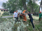 Анапчан приглашают принять участие в общегородском субботнике