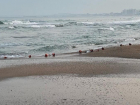 Море волнуется раз: пляжи Анапы опустели с похолоданием