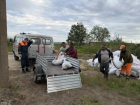 Уровень воды в Кубани контролируют у Джигинки: в Анапе укрепляют участки дамбы