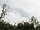 В Анапе вновь прогнозируют ураганный ветер – до 30 м/сек