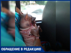 Анапчанку с собачкой не пустили в автобус – Светлана Александровна возмущена