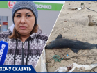 Если не убрать – есть риск заражения инфекцией»: анапчанка о мертвом дельфине на пляже
