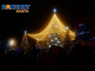 Голосуйте за лучшую: 10 фактов о главной новогодней ёлке Анапы