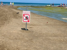 «Опасно для здоровья» – почему нельзя купаться в реке Анапке