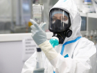 Число больных COVID-19 подбирается к 35 000 человек. Сводка на 7 февраля