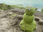 В Анапе может появится косметика на основе водорослей