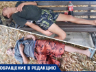 «Спят усталые…алкаши в Анапе»: на улице Кати Соловьяновой проблема до сих пор не решилась