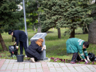 Готовим город к праздникам: анапчан приглашают на субботник