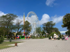 Городу-курорту нужен свой Сочи Парк: анапчане обсуждают недетские цены на аттракционы