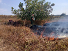 В поселке под Анапой снова горела сухая трава