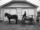 История Анапы: в 60-е годы водопровод обслуживали два слесаря и лошадь с бочкой