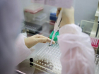 В Анапе выявили 5 случаев коронавируса. Сводка на 30 ноября