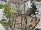 Коммунальщики Анапы будут спиливать сухие и аварийные деревья