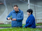 "Зеленстрой" высадит 300 тысяч цветов в Анапе
