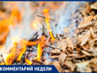Сжигая опавшие листья в Анапе, можно получить реальный срок