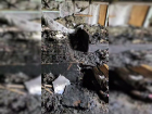 «Дети не могли выбраться – спускались по простыням»: в Пятихатках выгорел целый этаж жилого дома