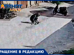 «Несовершеннолетние негодяи убивают»: в Анапе подростки на мопедах насмерть переезжают животных