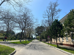 Аллея из белых акаций: как выглядел раньше проспект Революции