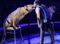 Цирк «Империал» - мир волшебства, экшена и номеров «на грани» 