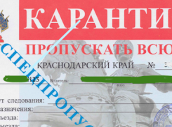 В Анапе продают пропуска по краю в карантин