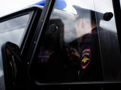 В Анапе, 12 ноября, шествие свадебного кортежа сопровождалось стрельбой