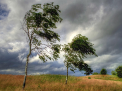 Штормовое предупреждение в Анапе, Новороссийске и Геленджике продлили до вечера 9 февраля