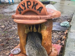 В Анапе у котов и кошек стали появляться собственные «апартаменты»