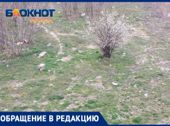 «Натуральная помойка»: анапчанка о земельном участке близ ЖК «Времена года»