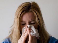 На Кубани - 277 случаев гриппа: как анапчанам не попасть в ряды заболевших